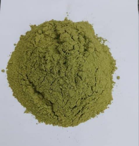 Organic moringa powder leaf from Vietnam cheap price_100_ Natural organic moringa oleifera powder