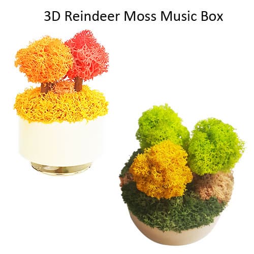 3D Reindeer Moss Music Box