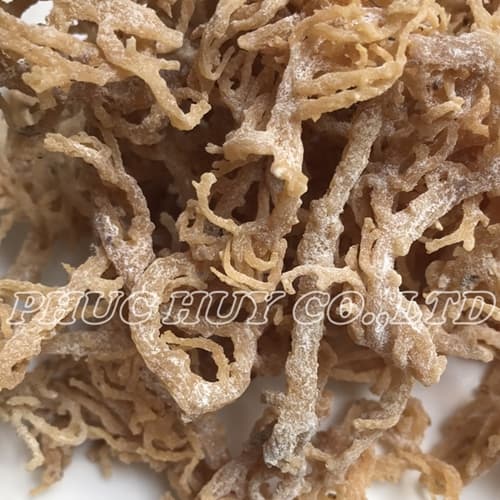 Dried sea moss_ eucheuma cottonii seaweed
