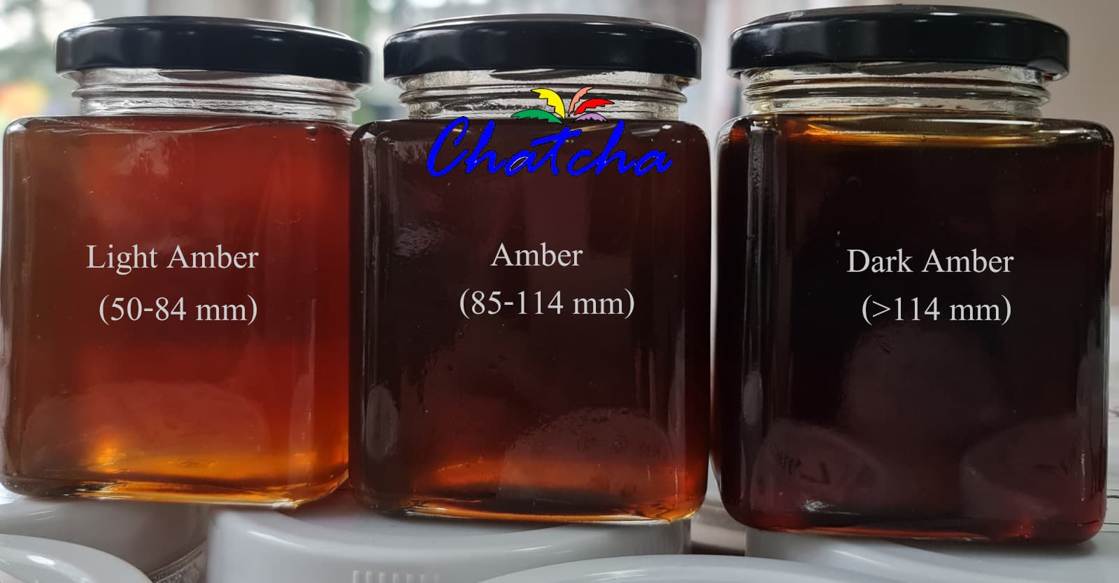 polyfloral Honey