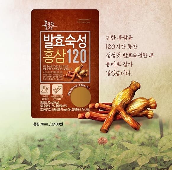 Fermented and Matured Red Ginseng 120