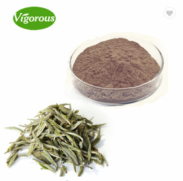 Instant White Tea Polyphenols Extract Powder