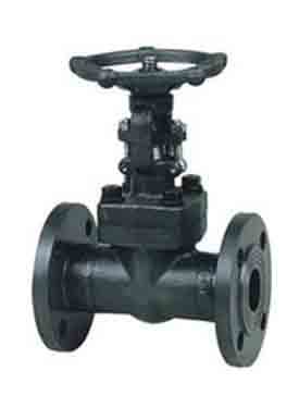 Forged flanged/threaded/welded gate valve | tradekorea