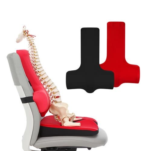 Ergonomic Chiropractic Cushion for Chair