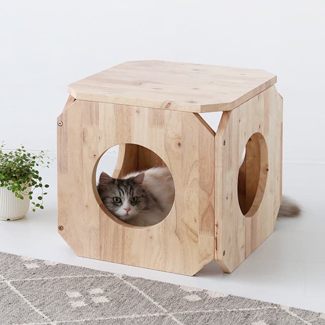 BENKU Wooden Cat Tunnel _ Stool _ Rubber Tree