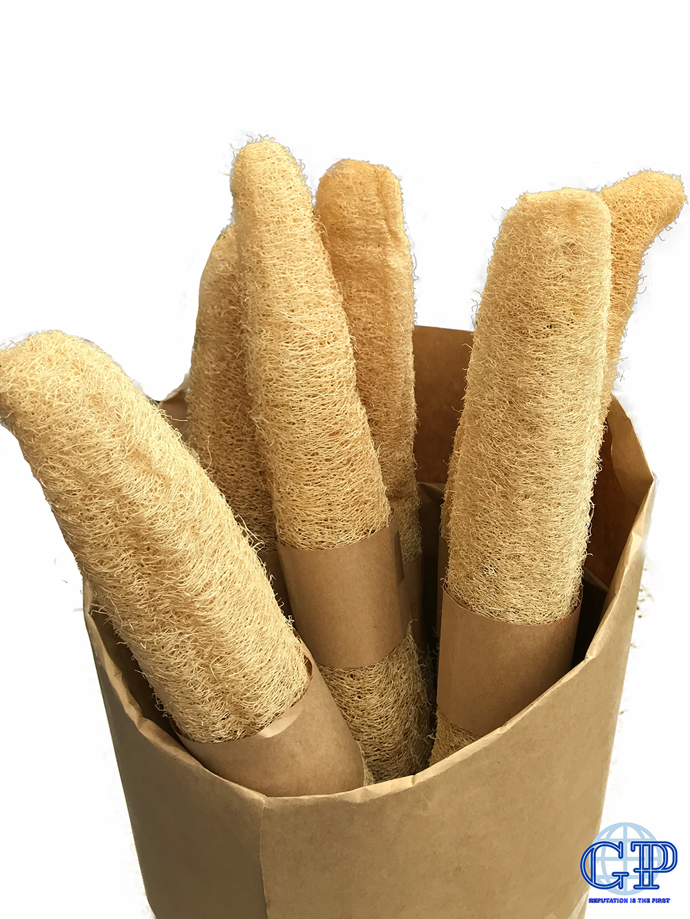 30_ 35cm Whole Loofah_ Biodegradable Natural Loofah Sponges_ Made in Viet Nam _ Exfoliating Sponge