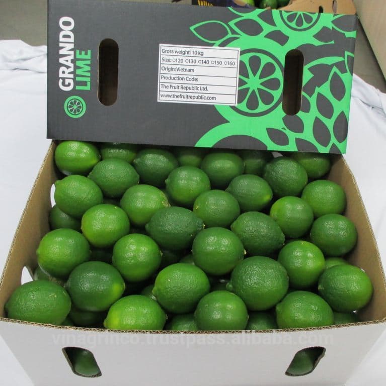 Fresh Seedless Limes from Vietnam | tradekorea