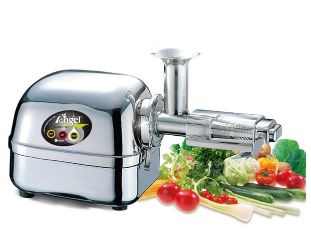 100_ Stainless Steel twin gear juicer for Home Use