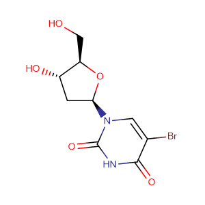 5_Bromo_2__deoxyuridine