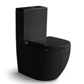 China sanitary ware suppliers Washdown two-piece toilet