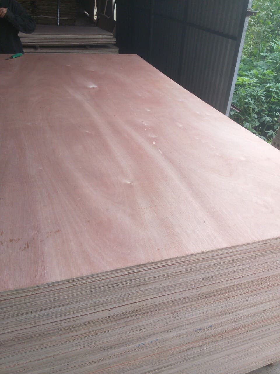 Cheap plywood for packing grade AB glue MR from Vietnam