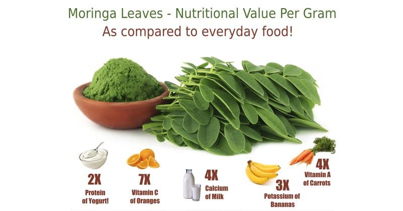 moringa