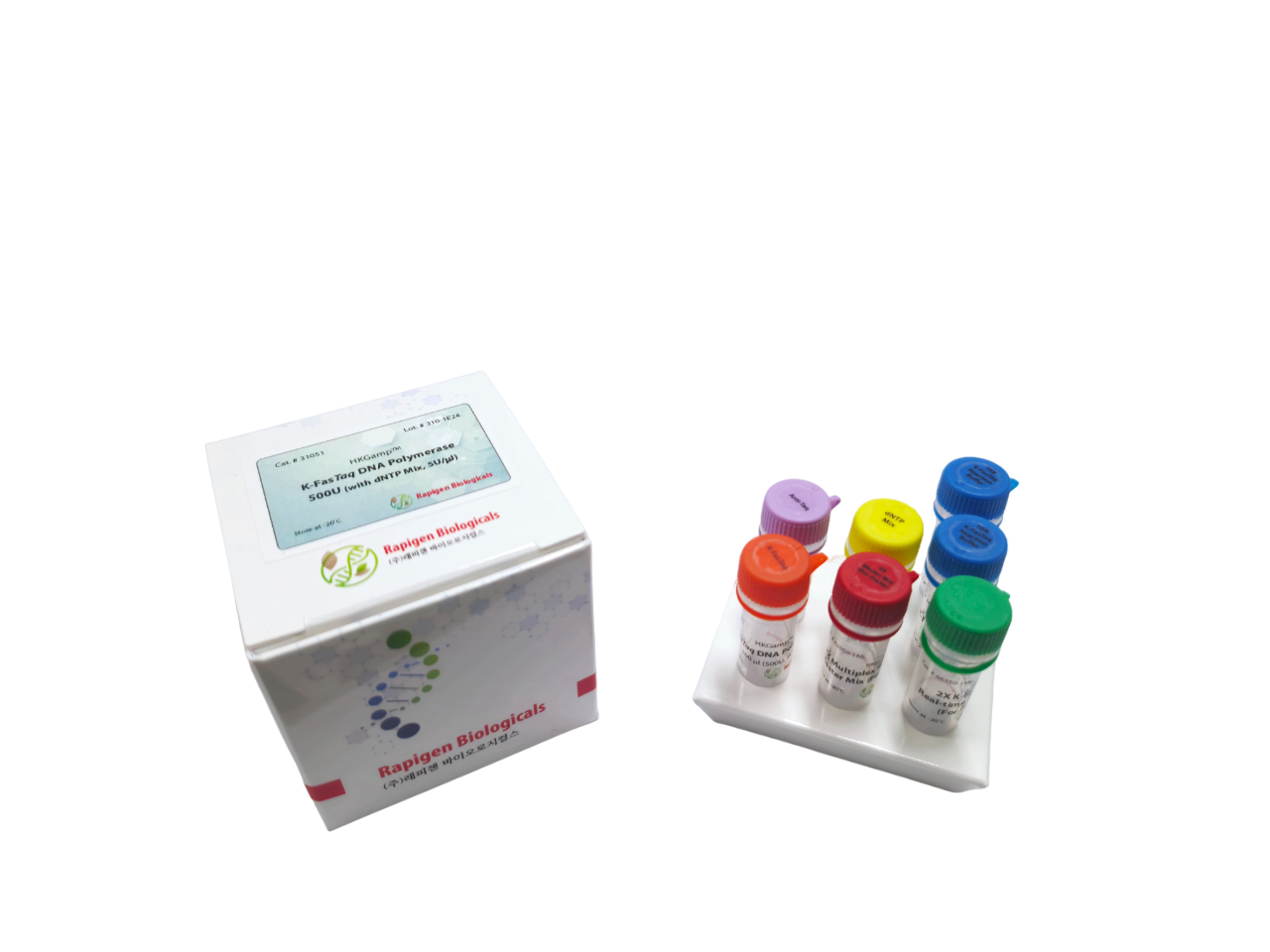 cDNA Synthesis Kit