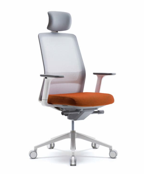 Highly Adjustable Ergonomic Office Chair _AROUND _ CH6200Z_
