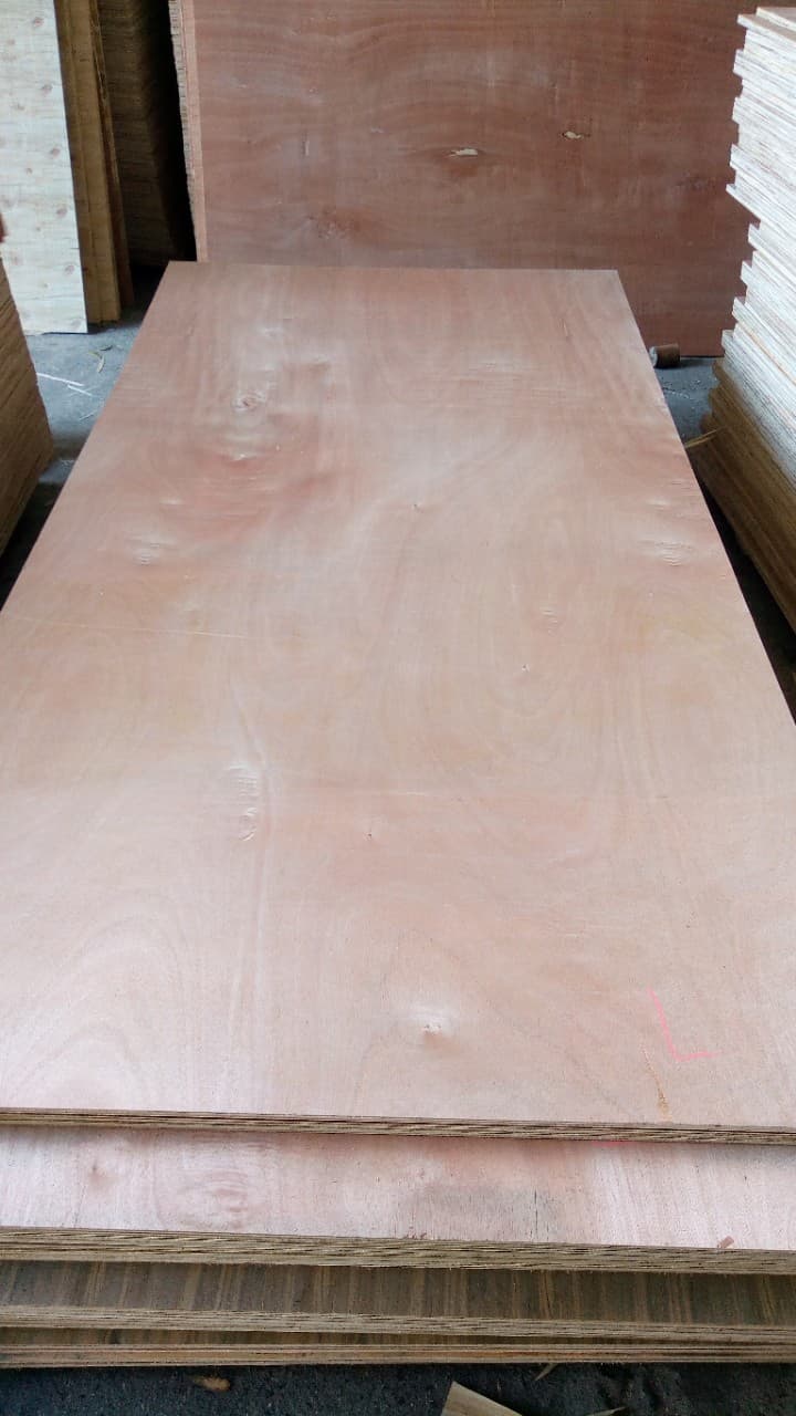 Packing plywood sheeet made from hardwood cheap price 4x8