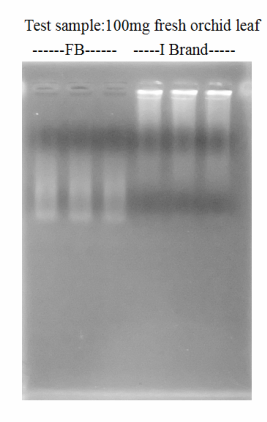 PR reagent - Total RNA Isolation Kit | tradekorea