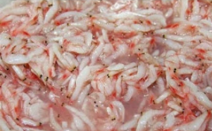 Salted baby shrimp