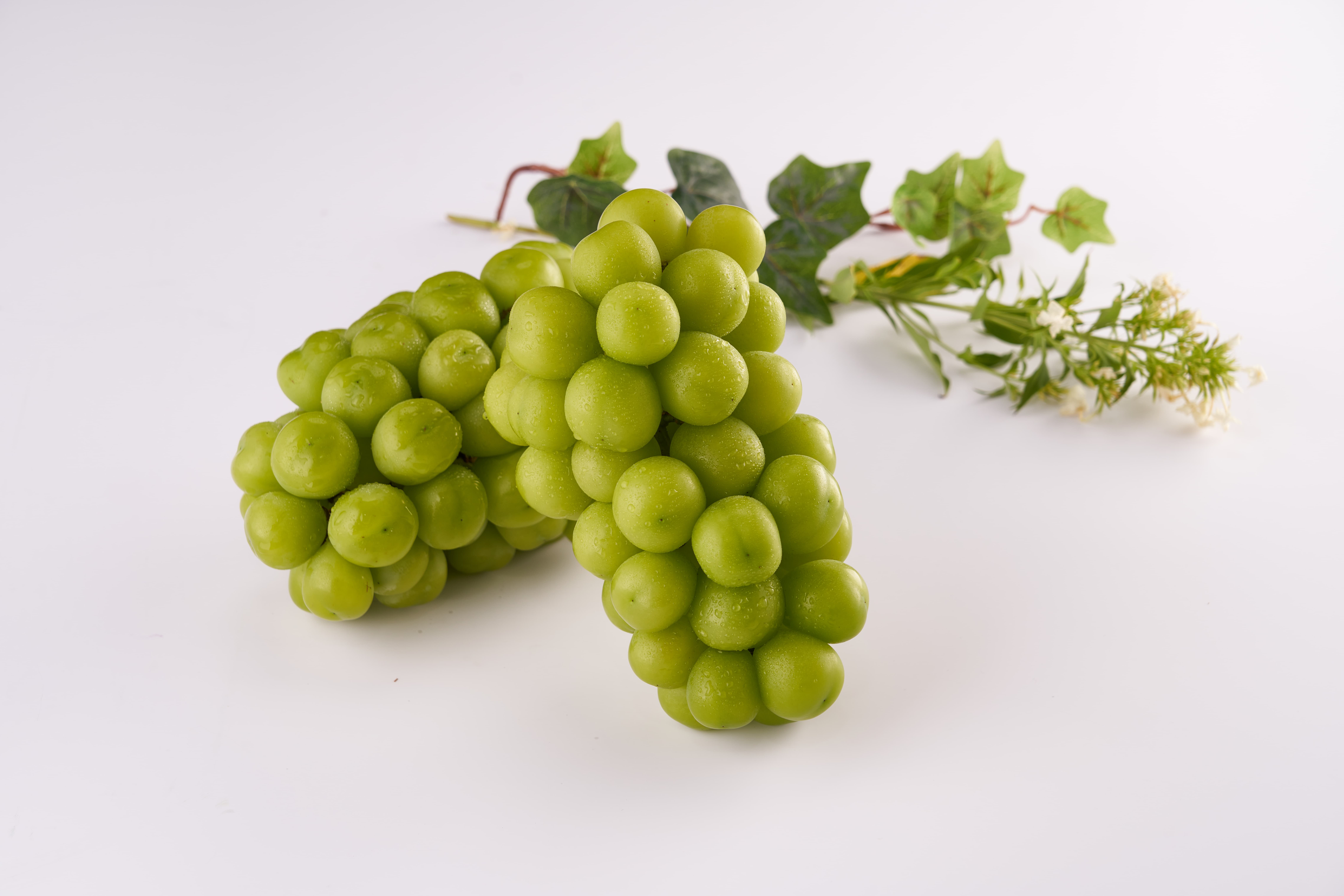 Shine Muscat _Fresh_