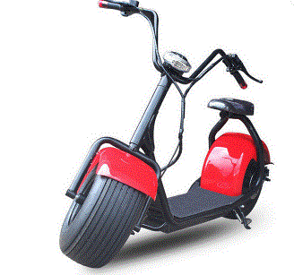 18 inch 1000w citycoco electric scooter