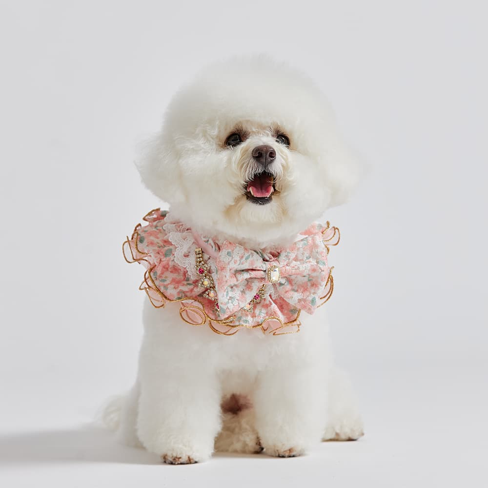 Pet beauty fashion bomheur cape