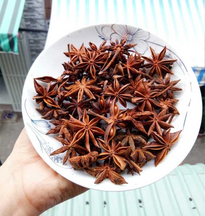 COOKING SPICE DRIED STAR ANISE HIGH QUALITY FROM VIETNAM SUPPLIER NEW CROP 2023