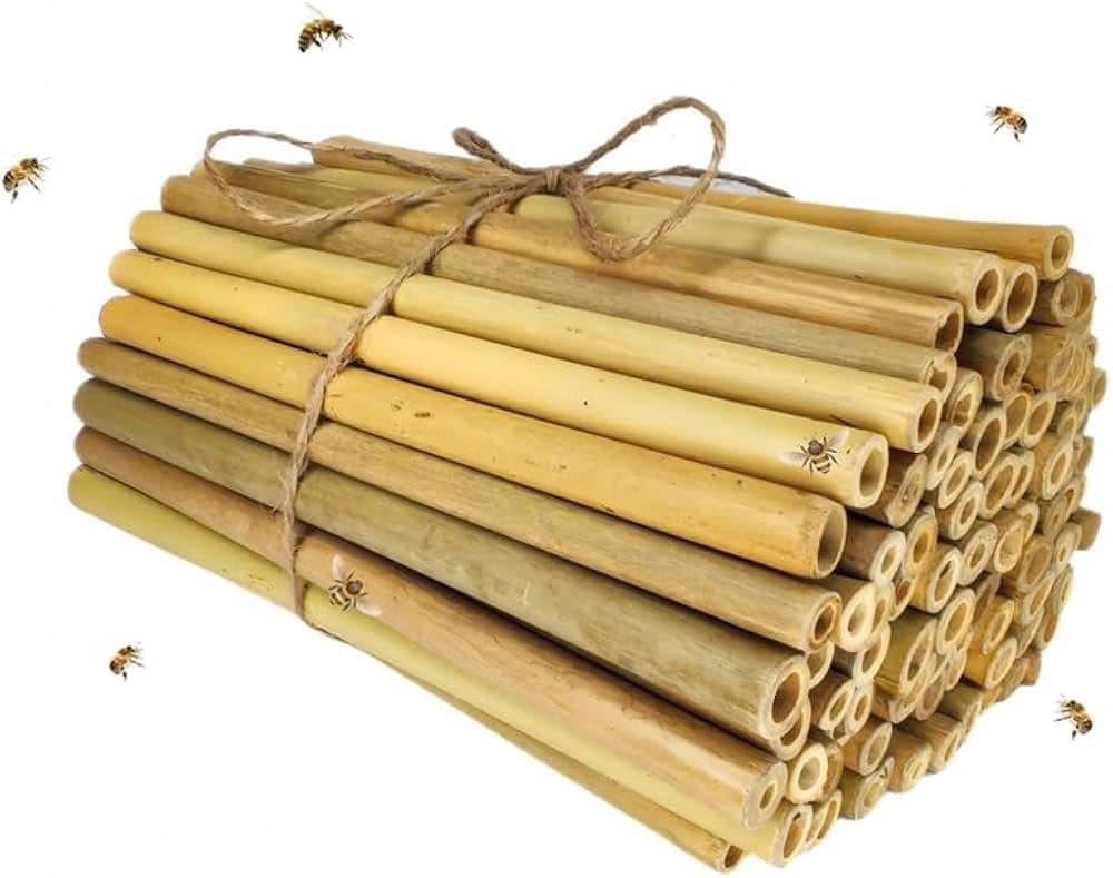 Natural Bamboo Tubes Bamboo Poles for Insect Hotels Bee House 10_15cm Length Customize Branding