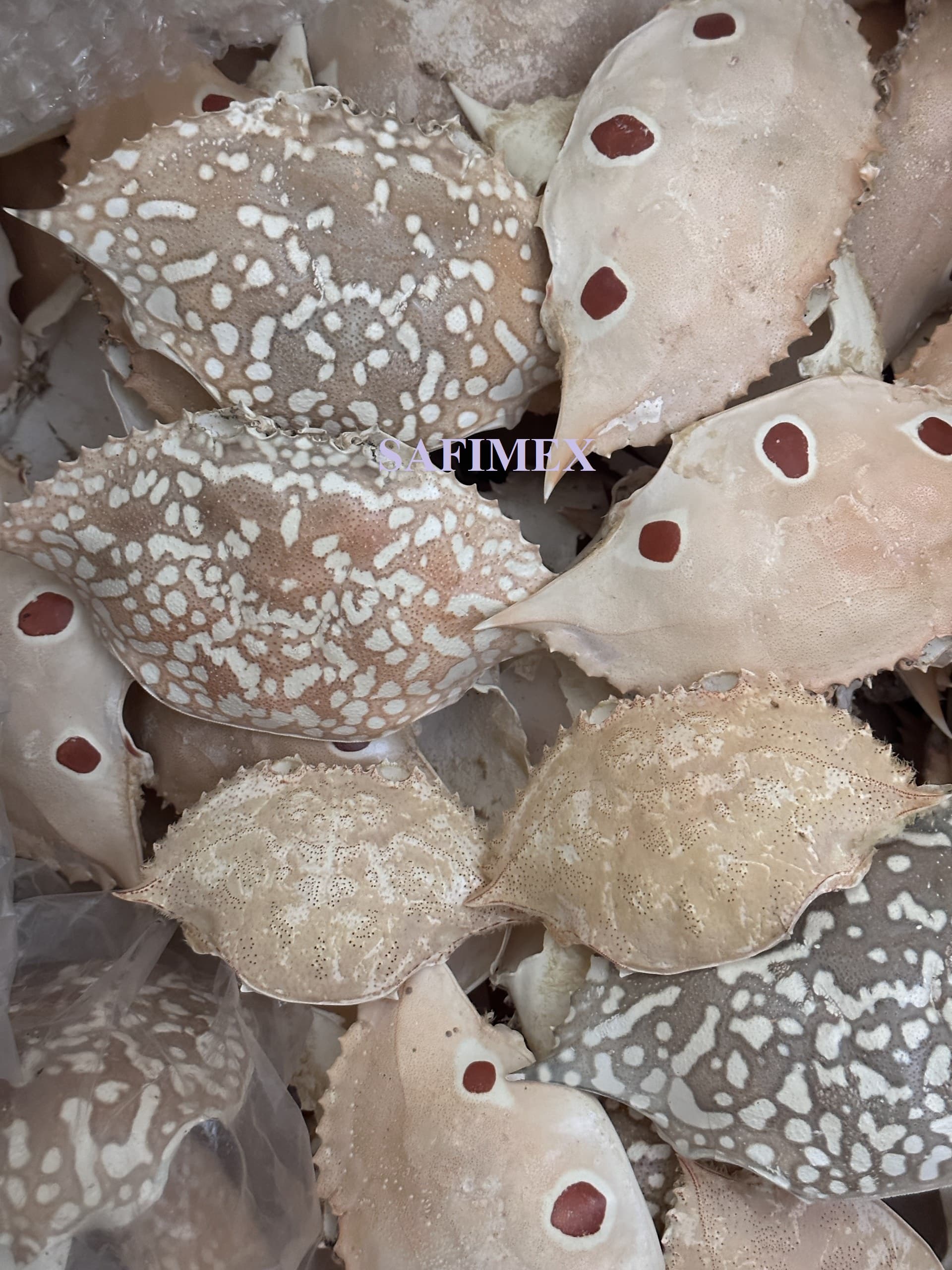 Whole cleaned crab shell cheap price for export_High Quality Natural Dried Crab Shell For Food Stuff