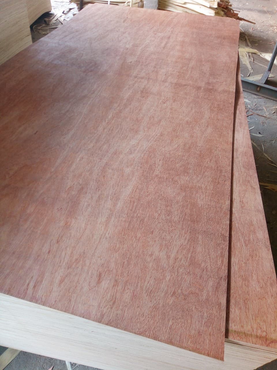 Commercial AB grade plywood MR glue pure 100_ hardwood