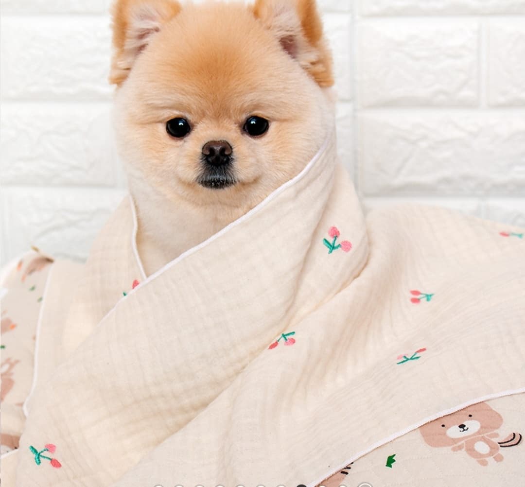 Dog Organic Blanket Apparel