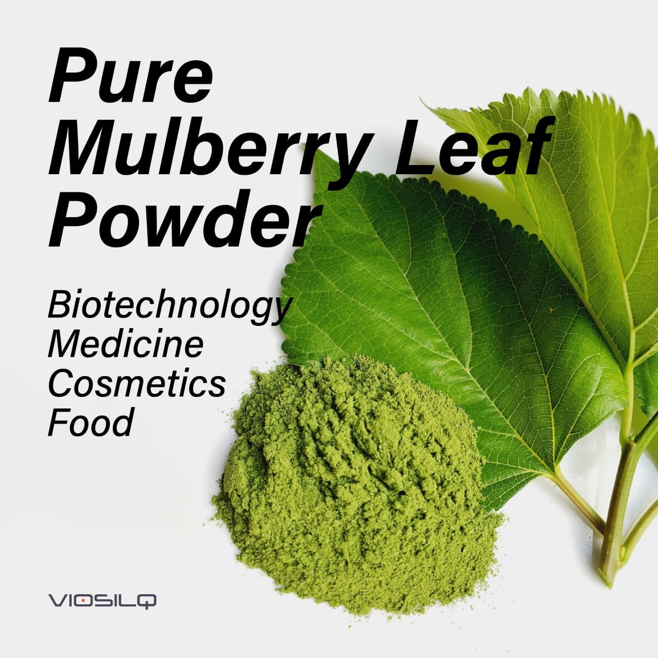 Pure Mulberry Leaf Powder