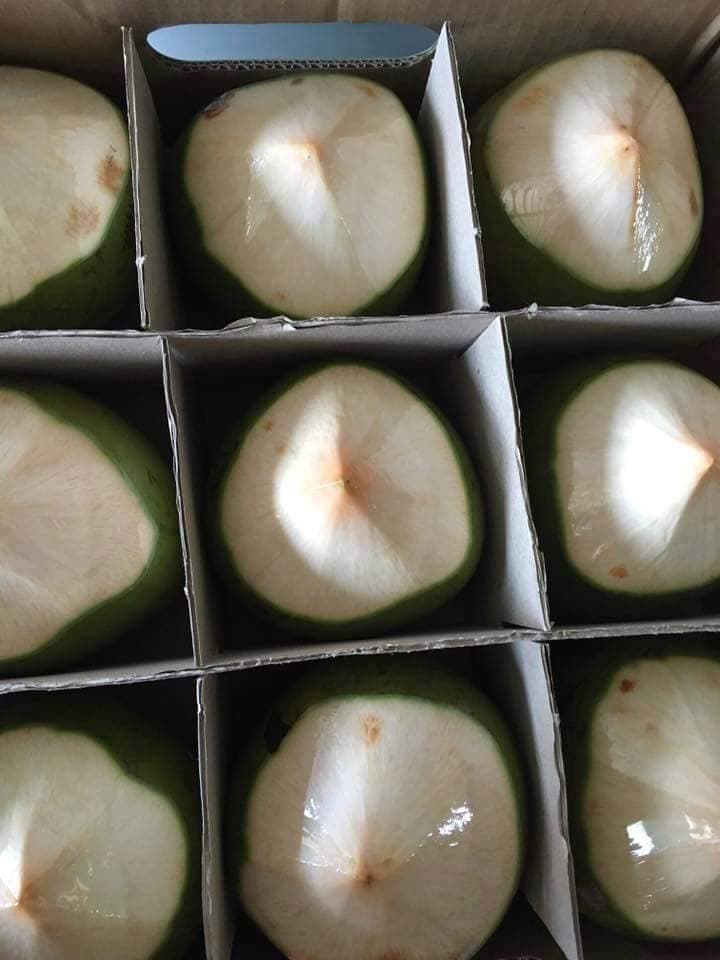 Vietnam Fresh Coconut | tradekorea