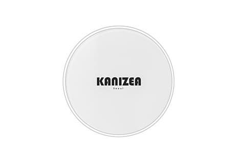 Kanizea