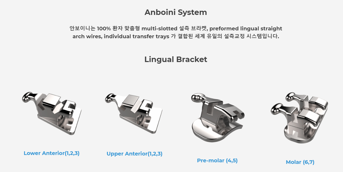 Anboini system