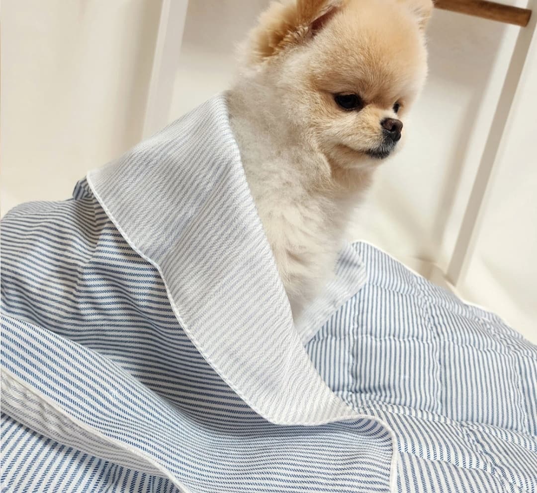 Pet Dog Blanket Warmer