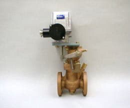 Kaneko M30 AC General Purpose BF 2-way solenoid valve