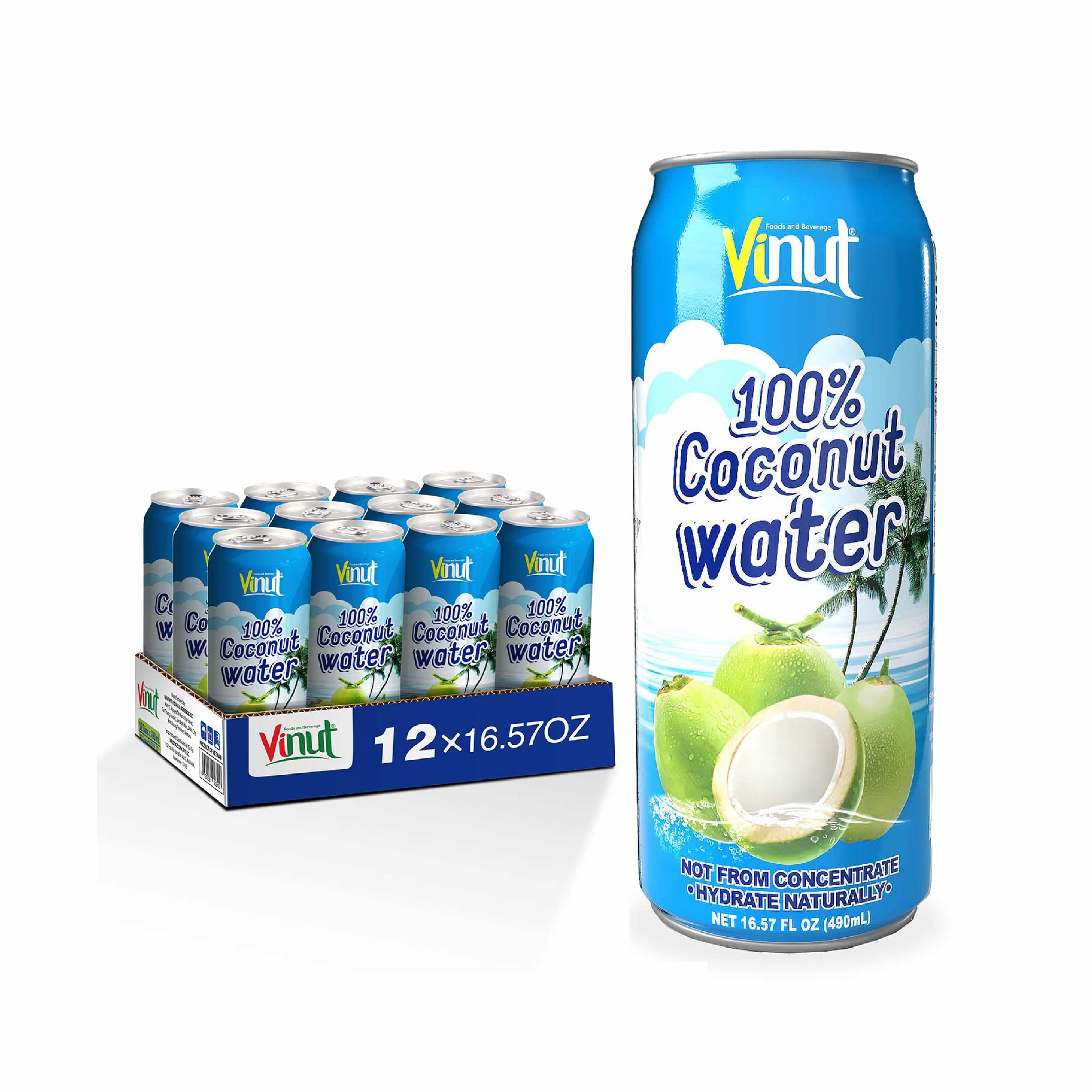 500ml Canned Vinut Natural Pure Coconut Water Organic Drink _ Free Sample _ Manufacture Soft Drink