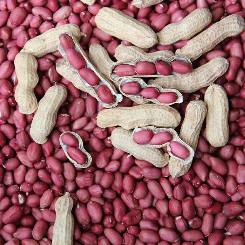 Peanuts in red SKU 1A58