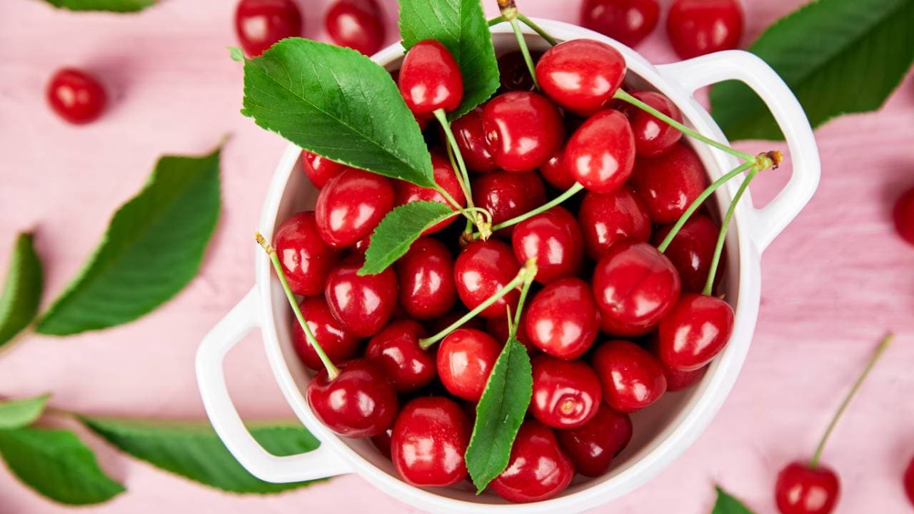 TART CHERRY JUICE CONCENTRATE