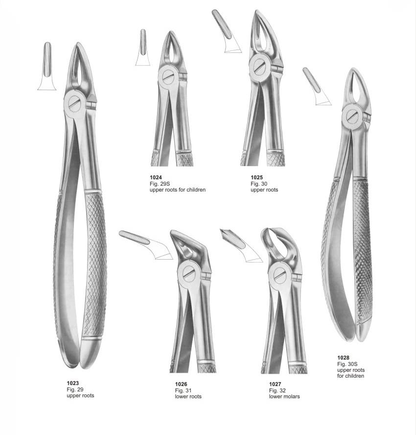 Extracting Forceps English Pattern | tradekorea