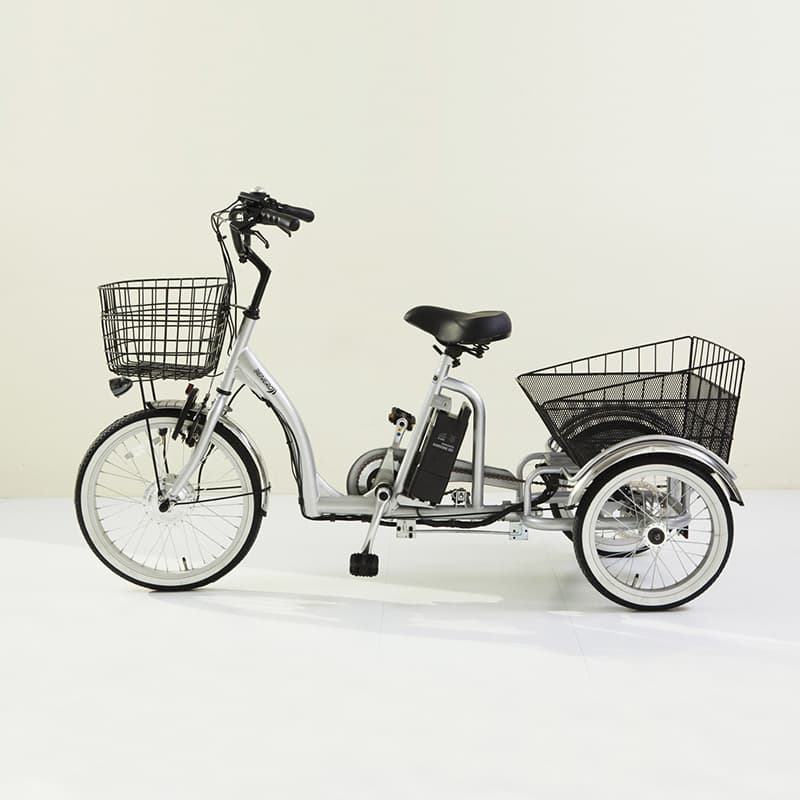 wo_wheel electric bicycle_ Three_wheeled electric bicycle