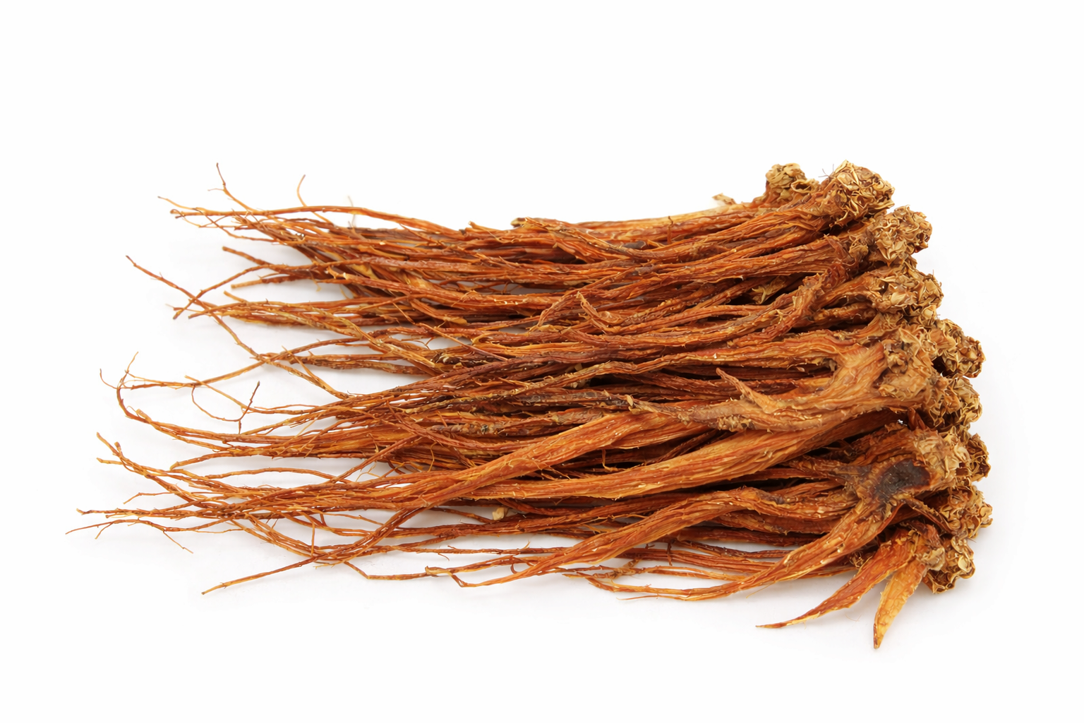 Red Balloon Flower Root Concentrate