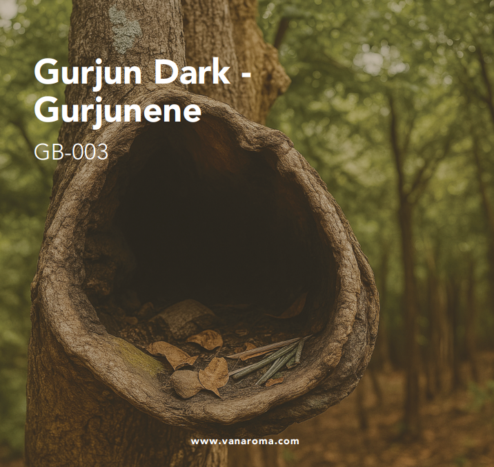 Gurjun Dark - Gurjunene (GB-003) Van Aroma | tradekorea