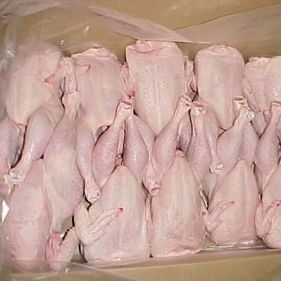 Frozen Whole Chicken grillard Grade A Halal