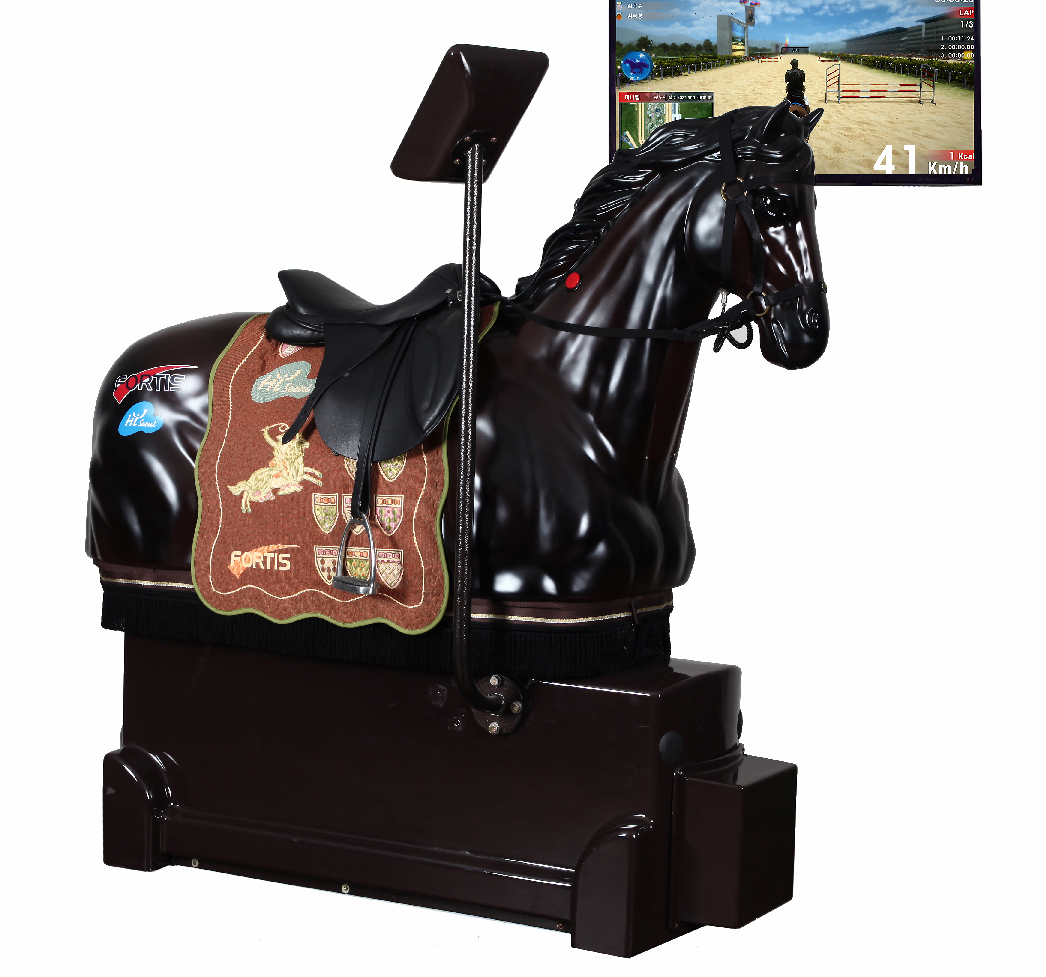 Horseback Riding Simulator