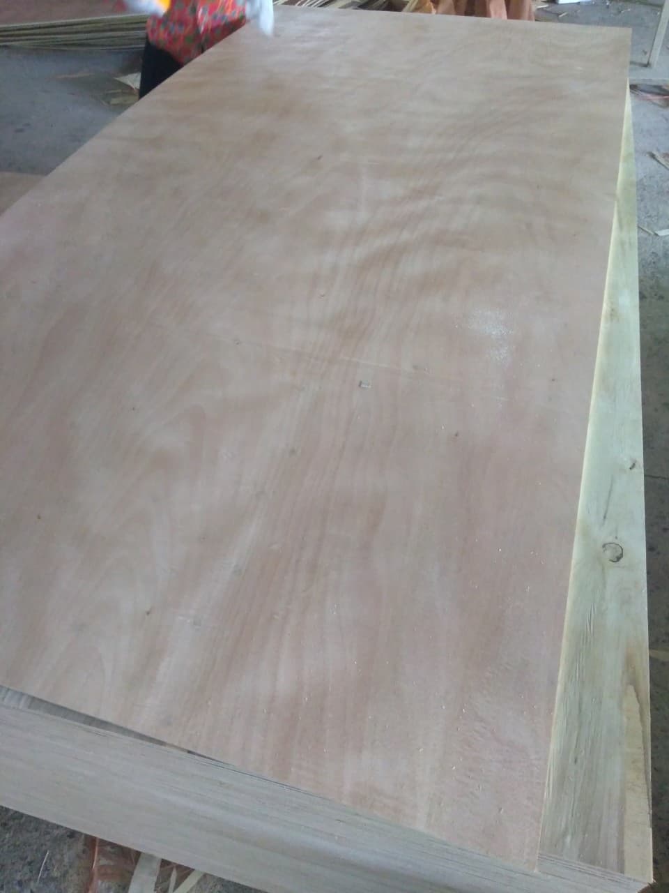 Plywood grade AB glue MR packing class 2440x1220x7mm