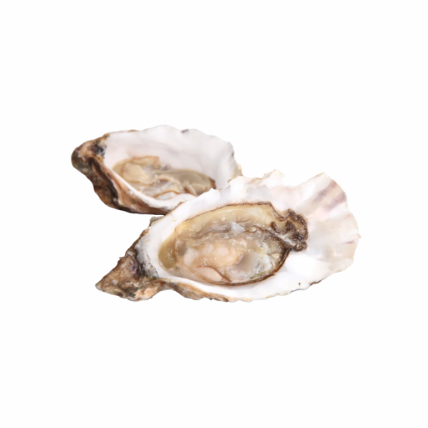 Frozen Pacific Oyster