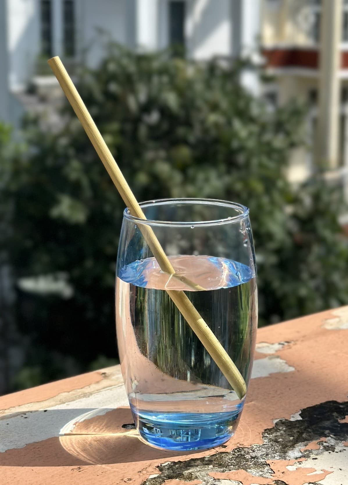 Biodegradable drinking ware grass straws disposable with good price from Vietnam