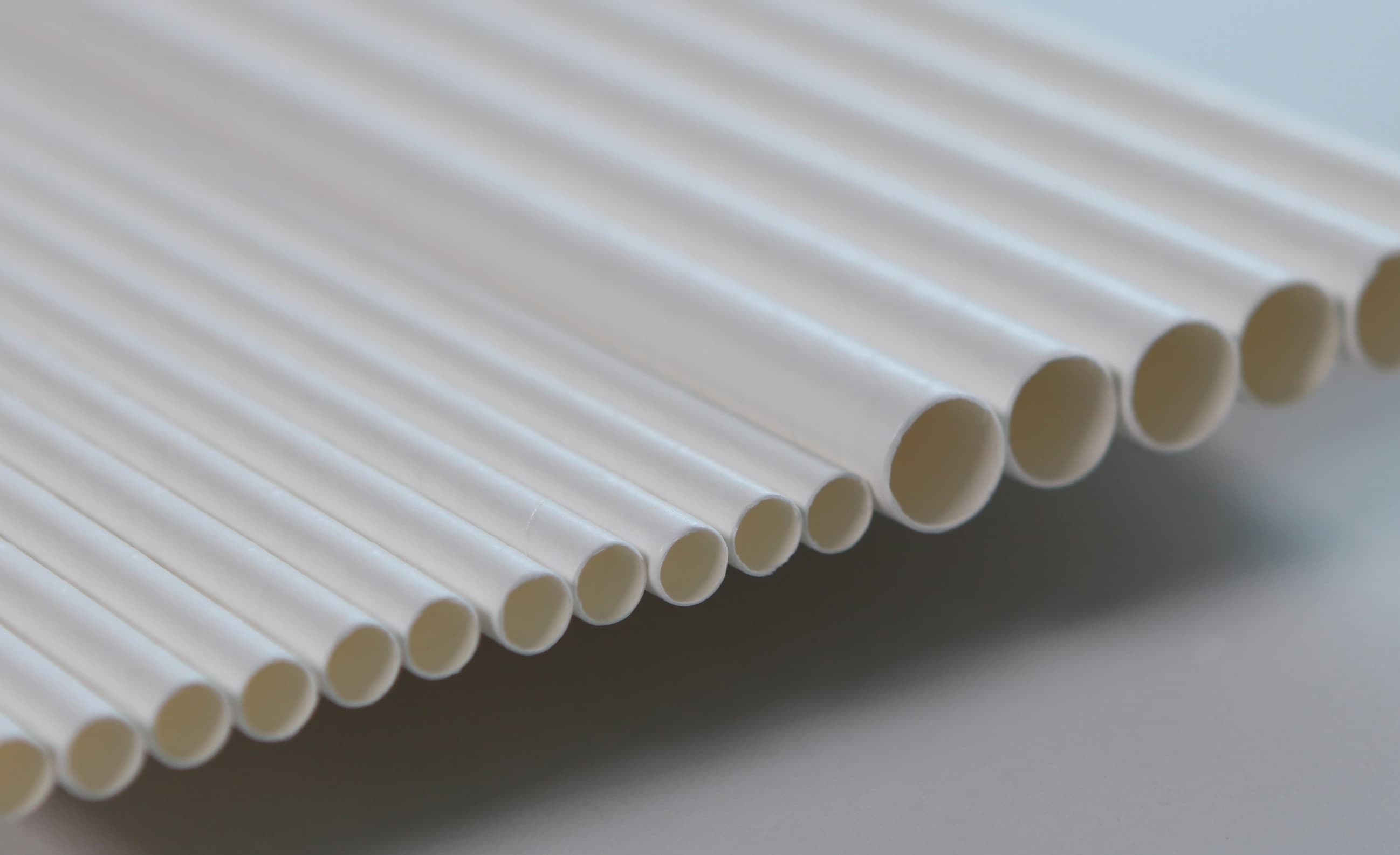 Eco_coated Paper Straw _Fully Recyclable _ Biodegradable_