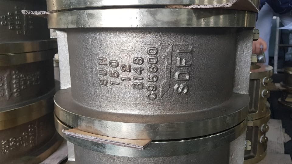 Dual plate check valve