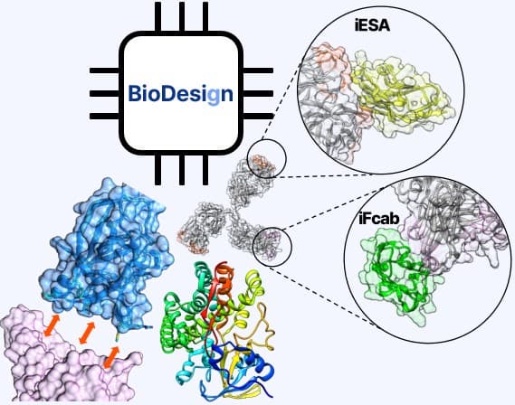 BioDesign_Protein drug design platform